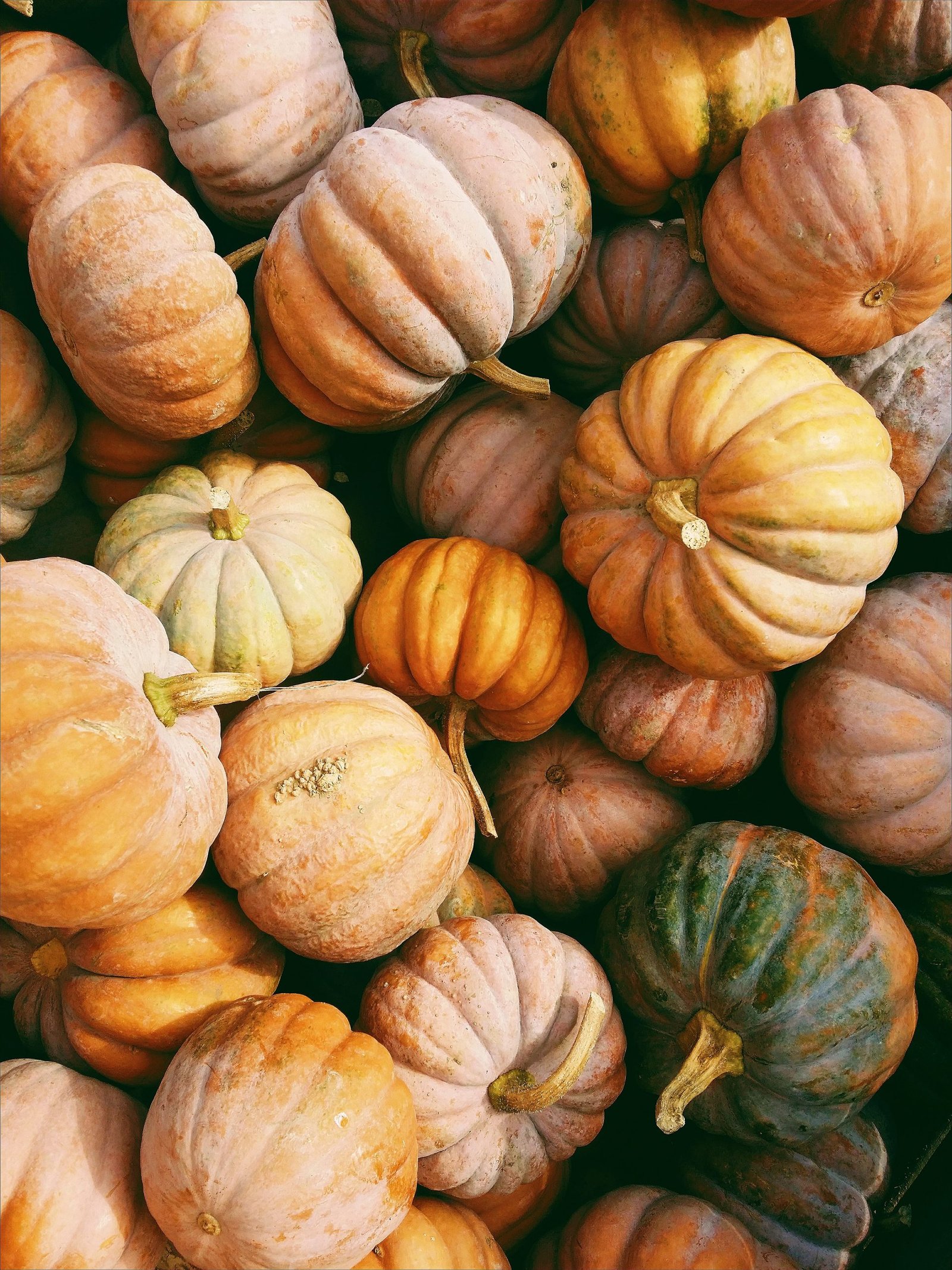 Community Food for the Festive Season