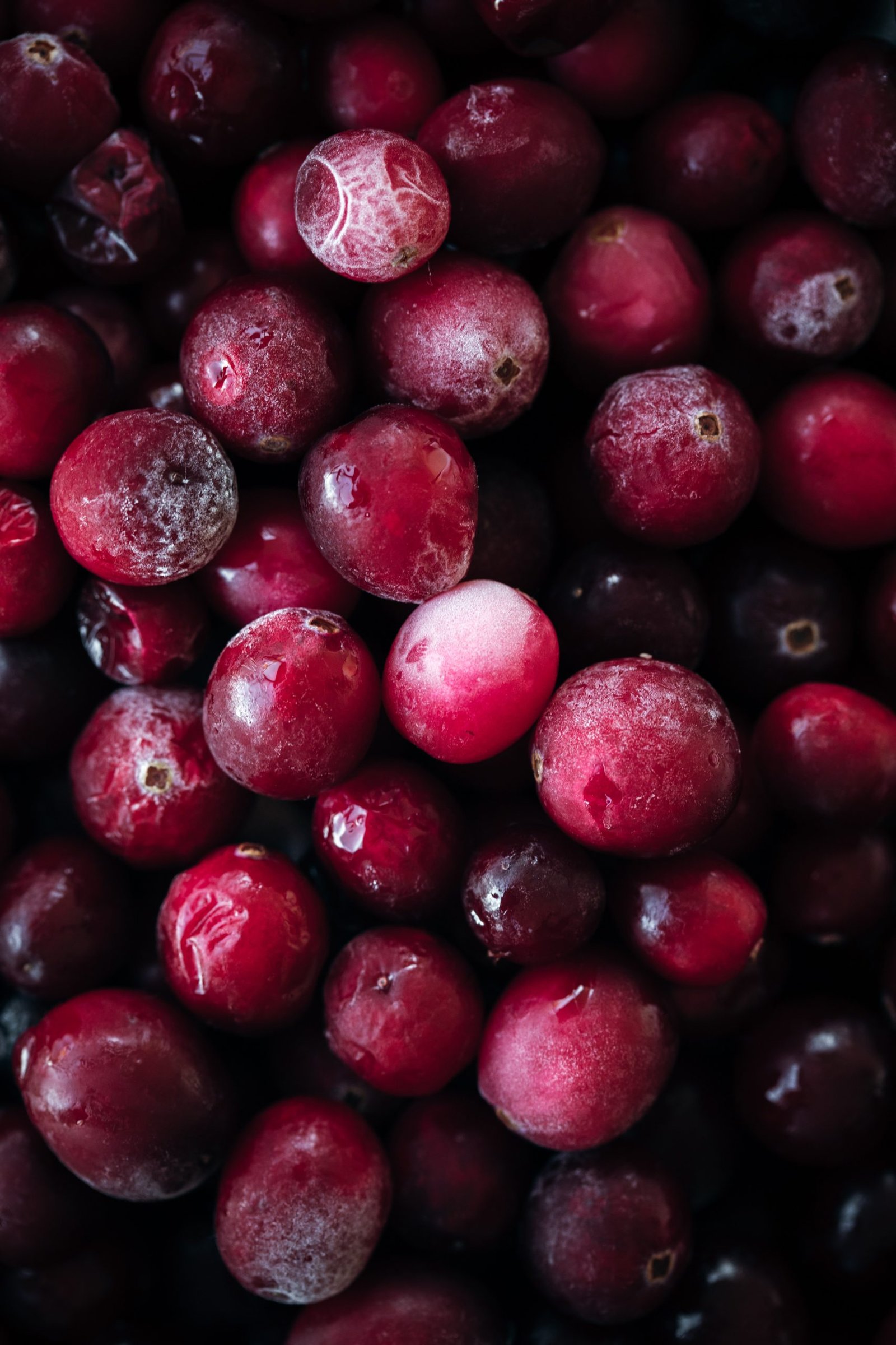 An Ode to Cranberry Season