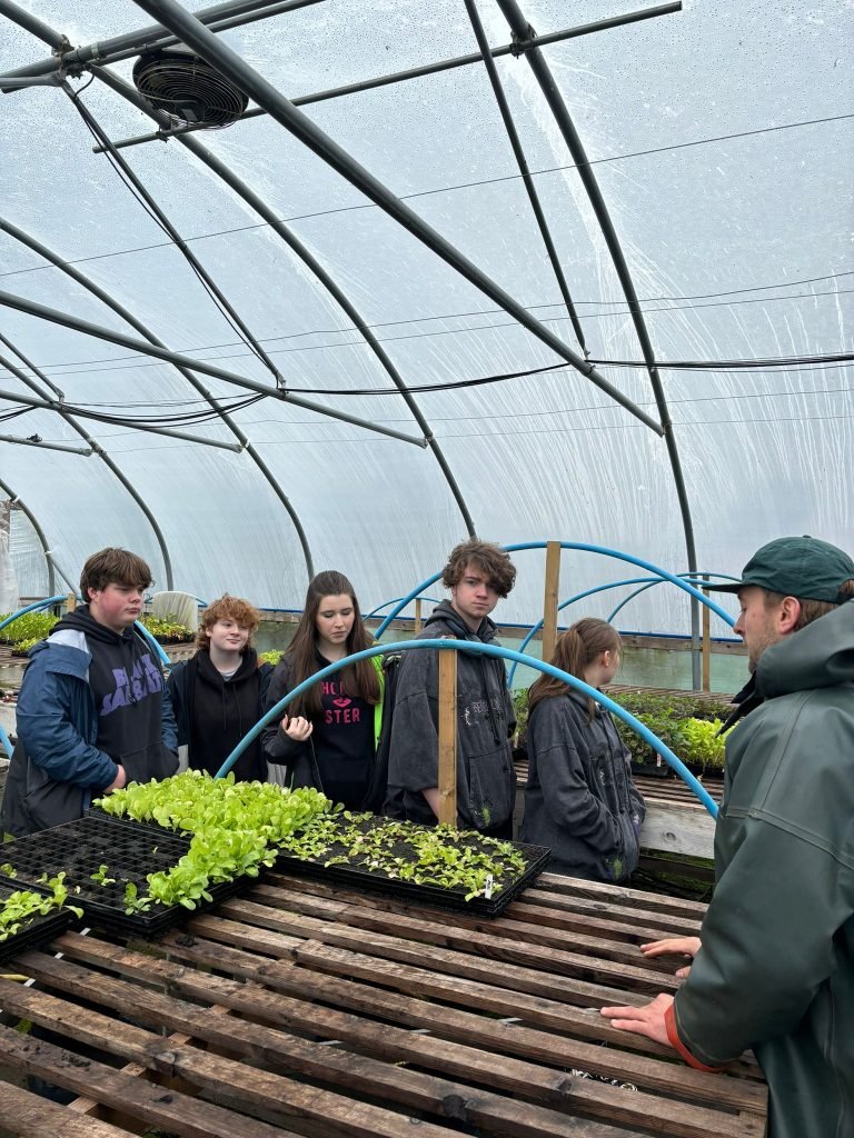 People standing around a tray of seedling plants.